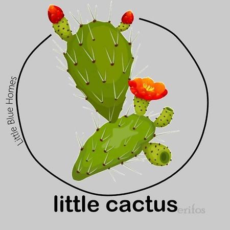 فيلا Little Cactus Serifos Town المظهر الخارجي الصورة